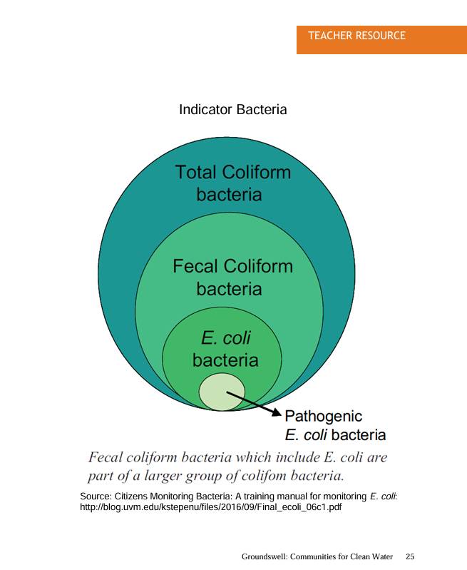 Indicator Bacteria Graphic from Lesson Three Explain: Managing Pathogens